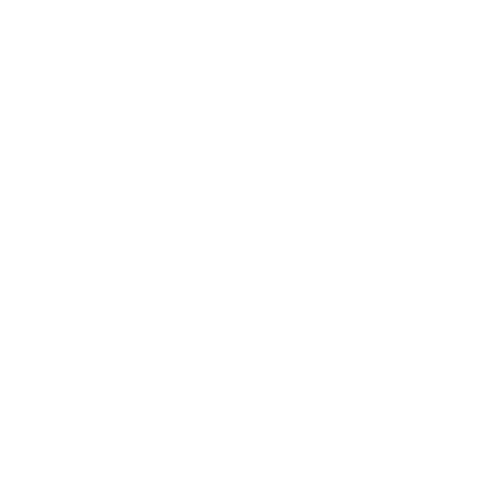 BAT CHILE
