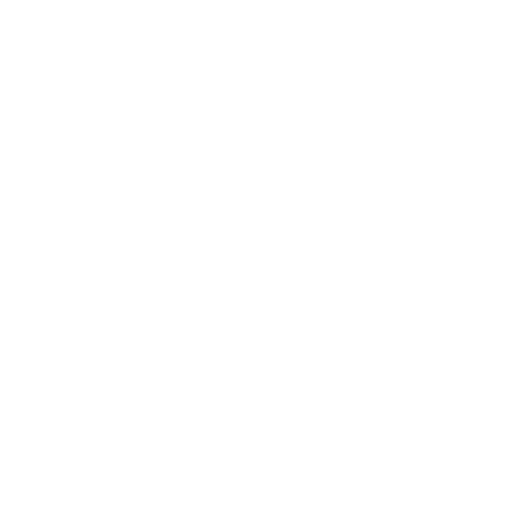 SALMONES CHILE