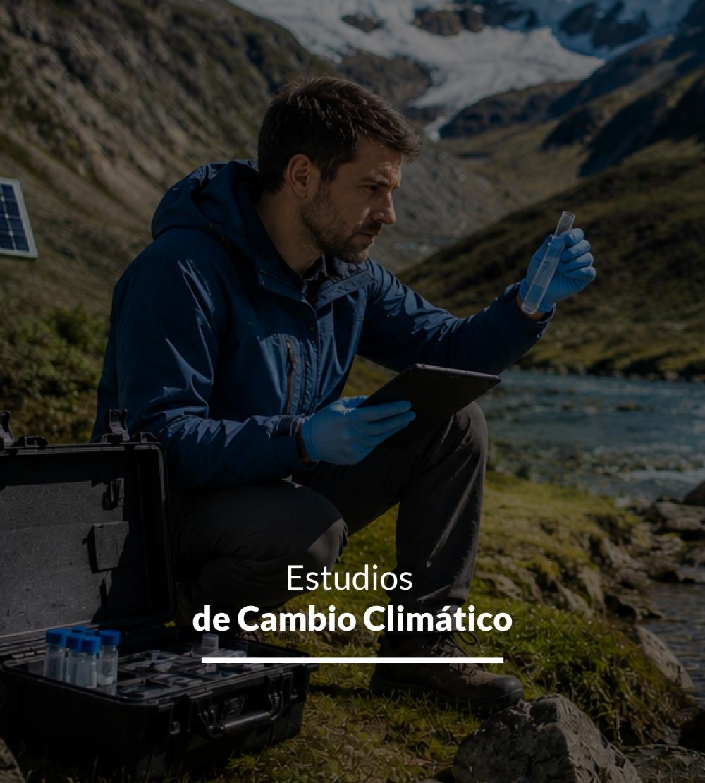 Servicio